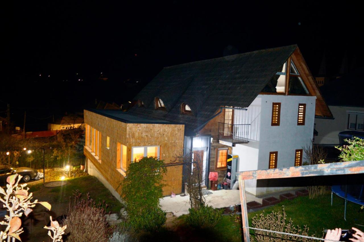 Casa Cu Magnolii Hotel Poienile Izei Luaran gambar