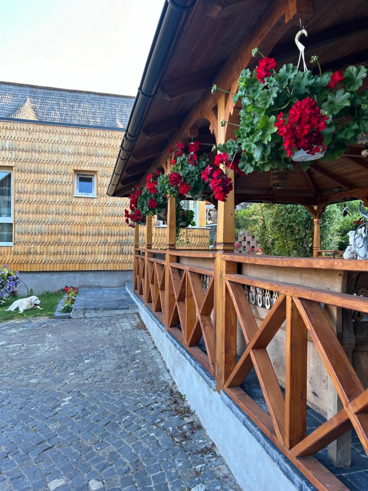 Casa Cu Magnolii Hotel Poienile Izei Luaran gambar