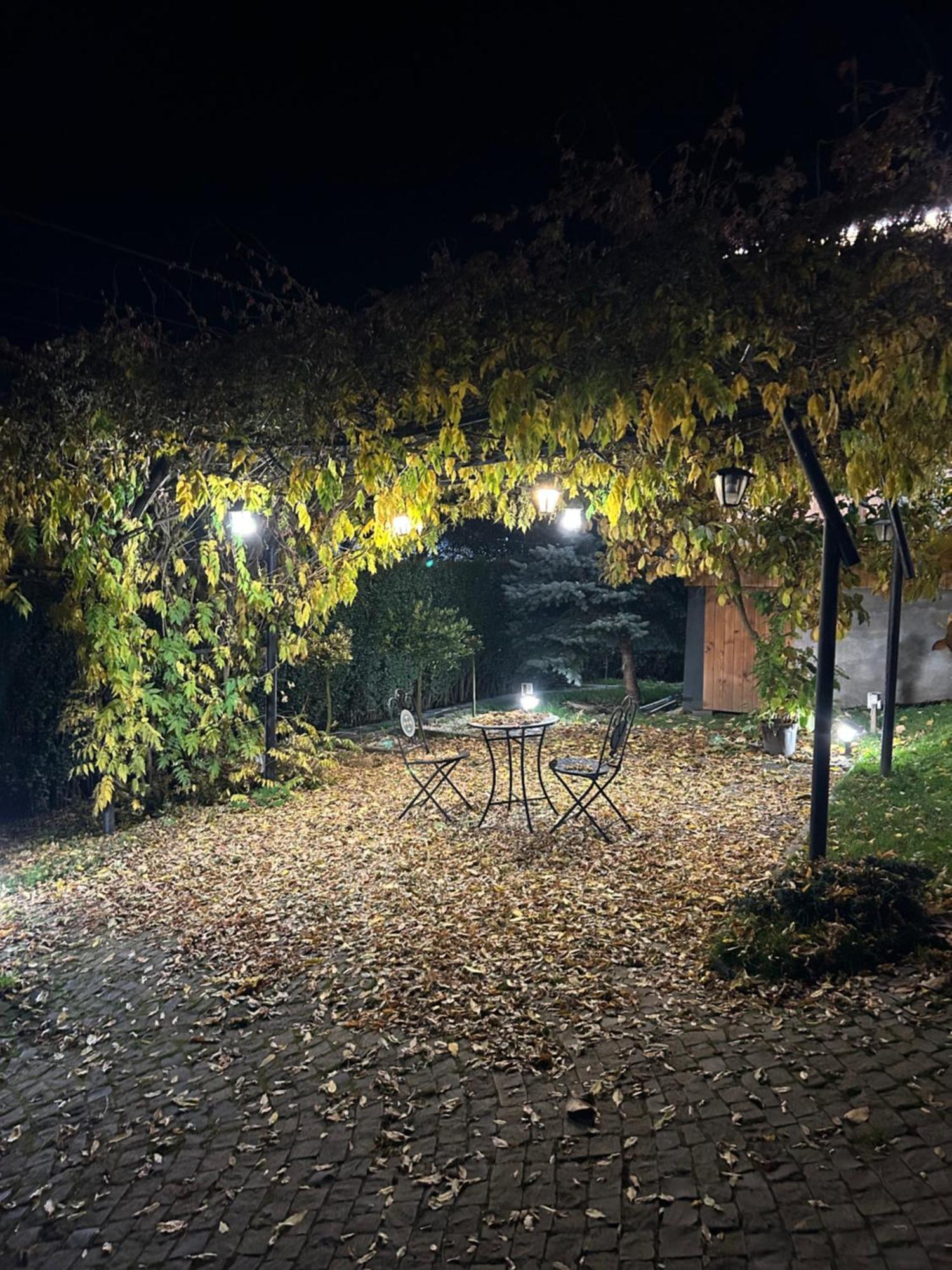 Casa Cu Magnolii Hotel Poienile Izei Luaran gambar