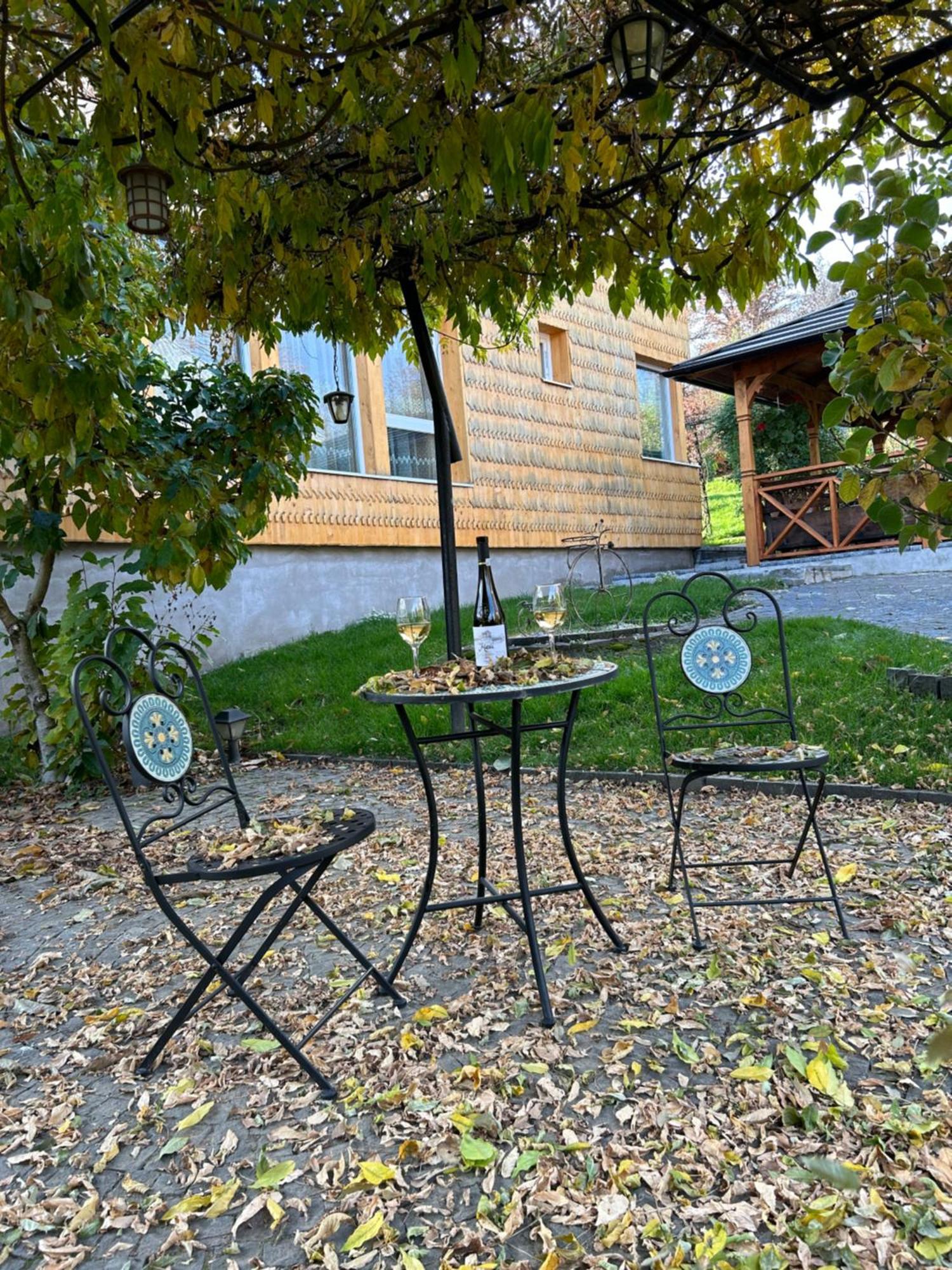Casa Cu Magnolii Hotel Poienile Izei Luaran gambar