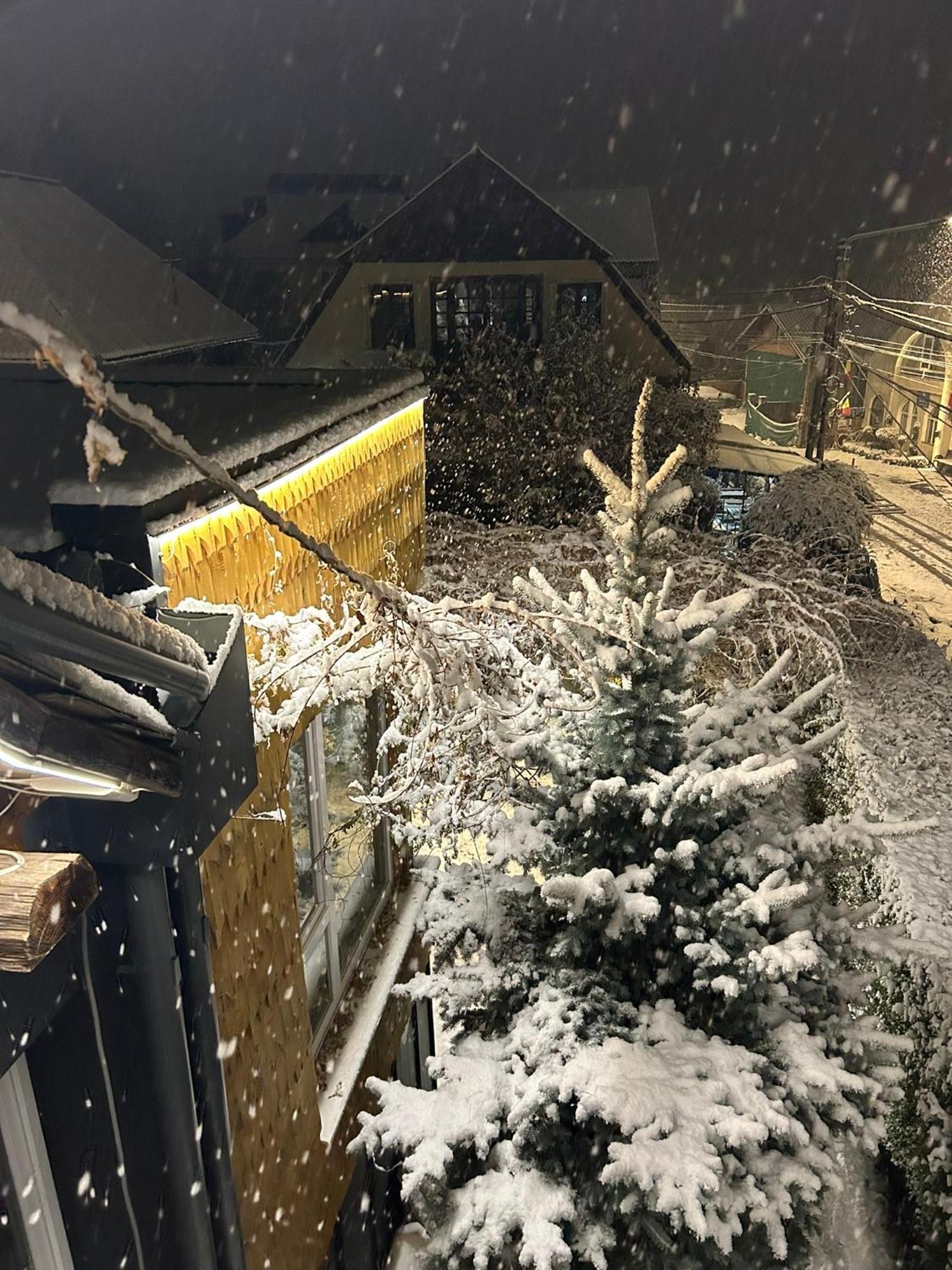 Casa Cu Magnolii Hotel Poienile Izei Luaran gambar