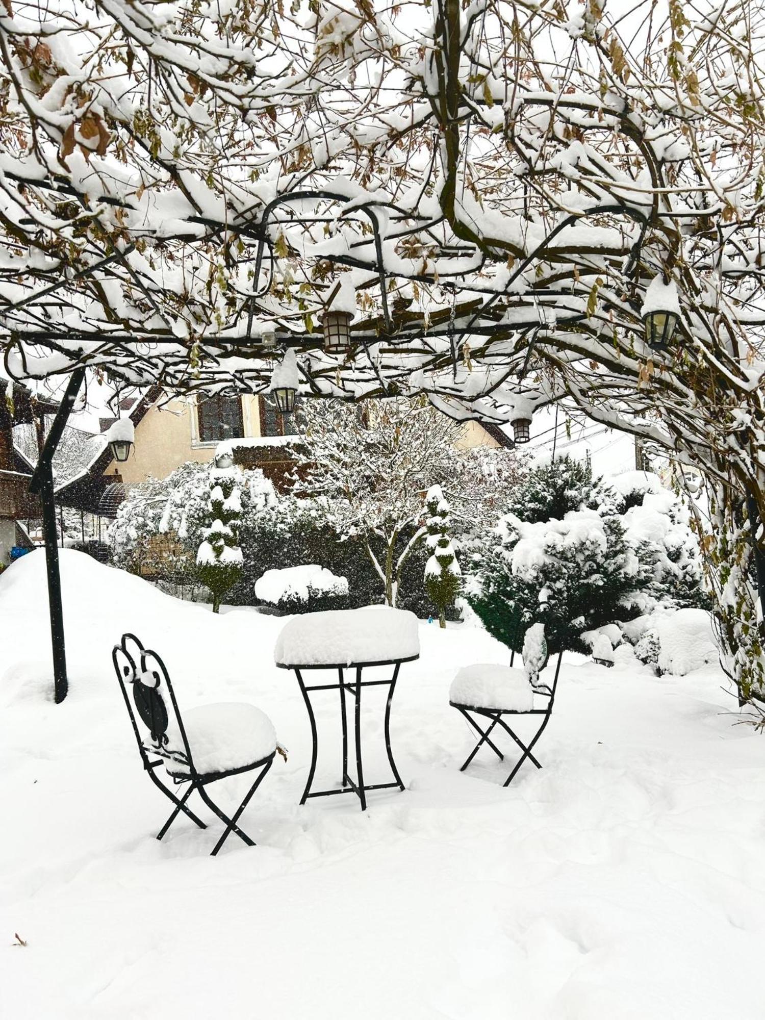 Casa Cu Magnolii Hotel Poienile Izei Luaran gambar